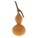 10Small Natural Dried Gourds Table Ornament