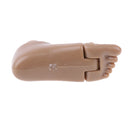 1/6 Bare Feet & Connectors for 12 Inch HT TC TTL 3A Figures Body Accessories