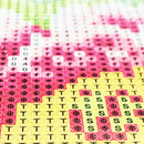 5D Diy Diamond Painting,Full Drill Embroidery Painting Picture Art For Wall