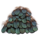 50pcs Lady Amherst natural green pheasant feathers fur craft/millinery/ jew V6P3