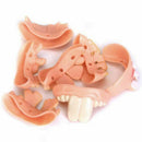 10pcs Ugly Teeth Halloween Party Prop Costume Random Type Q9H3