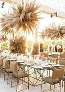 15pcs Natural Dried Pampas Grass Reed Flower Bunch Wedding Bouquet Decors 2020