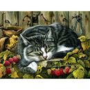 5D DIY Full Drill Diamond Painting Sleeping Cat Cross Stitch Embroidery Kit