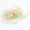 The Bride Of Beautiful Flowers Rhinestone Headwear Apparel Accessories A