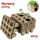 Home Peat Pots 12 Holes Biodegradable Flowers Garden Tool Seed Starter Tray Set