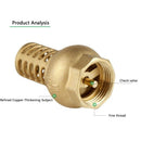 1 Inch Dn25 Internal Thread Brass Water Foot Valve Foot Pump Brass Internal
