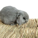 Rabbit Mat,Grass Mats For Rabbits,Safe & Edible Rabbit Mats For Cages,Bunny V7P9