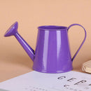 2pcs Pastoral Style Watering Can Flower Barrel Gardening Irrigation Tool