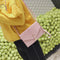 3pcs Women PU Leather Backpack School Bag Shoulder Bag Card Holder(Pink)