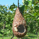 8 Pack Bird House, Hanging Birdhouse Hummingbird Nest Fiber Hand-Woven Roosting