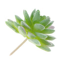Artificial Plastic Succulent Plants Flowers Home Cafe Beautify Floral Decor