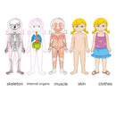 Multi-Layer Wooden Human Puzzles Human Body Structure Toys Intellectual Woo