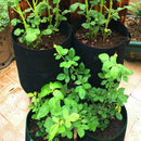 Grow Bags 7 Gallon Plant Potato Carrot Tomato Onion, Double Layer Premium B