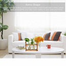Glass containers, plant glass containers, modern decorative glass pots, hyd