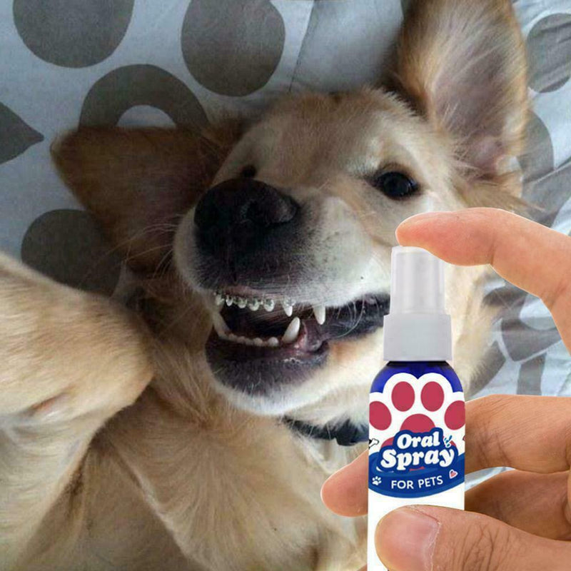 Pet oral cleanser 60ml Mouth Spray Dog Puppy Fresh Breathing Useful Dental P1I6