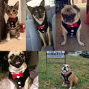 Dog Vest Pet Dog Harness Leash Set for Small Medium Dogs Bow Tie Formal Dre