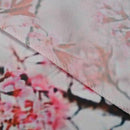 Sakura Cherry Trees Blossom Spring Garden Park Wall Hanging Tapestry G3O8
