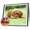 5D DIY Full Round Drill Diamond Painting Upset Dog Cross Stitch Embroidery