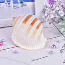1Pcs Artificial Shell Sea Conch Fish Tank Aquarium Decorations Roll Shellf BX