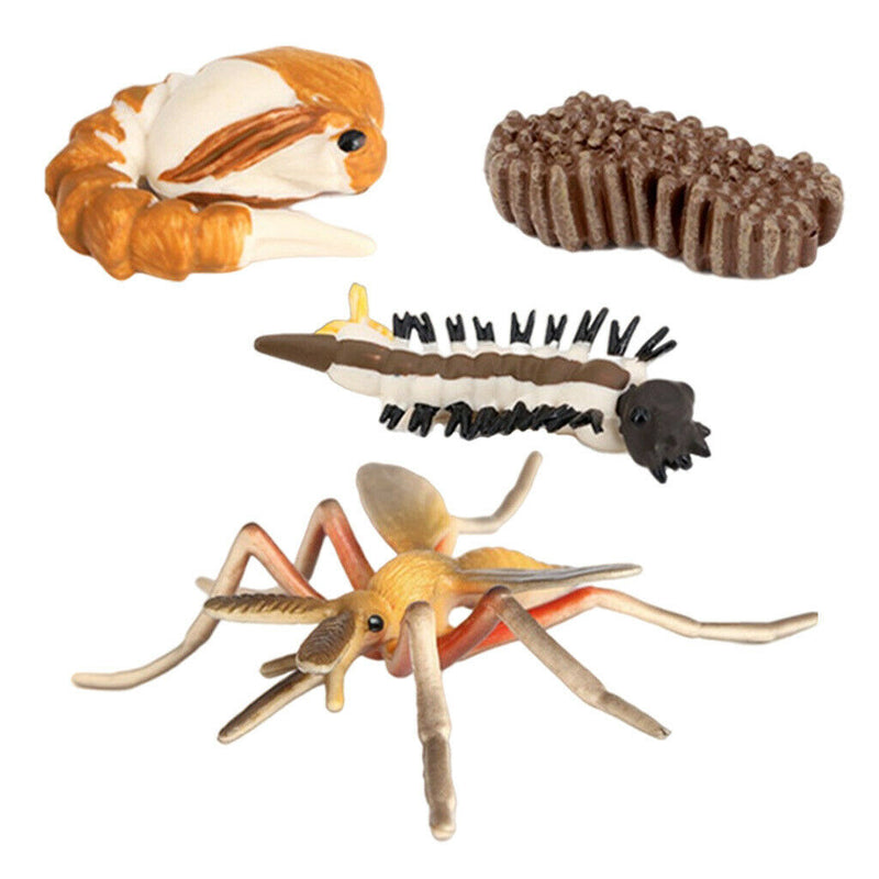 Realistic Life Cycle of Mosquito 4 Part Insects Hatchery Growth Figures Toys