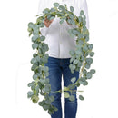 2M Artificial Eucalyptus Garland Hanging Rattan Wedding Greenery Party Back W9O1