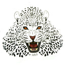 Leopard Iron on Stickers Washable Heat Transfer Patches For Clothes Appli LDN`US