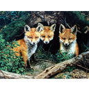 Diamond Painting Animal Pictures Of Rhinestones Diamond Embroidery Sale Fox