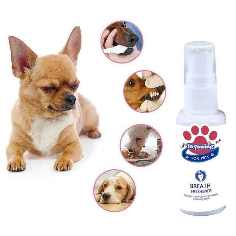 Breath Freshener Spray Pet Dog Teeth Cleaner Dog Cat Oral Healthy Dental Care