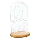 Battery Operated LED Lights Glass Cloche Table Lamp Fairy Lights Crafts C