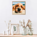 5D DIY Full Drill Diamond Painting Dog Cross Stitch Embroidery Mosaic Kit