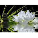 40x30cm White Lotus DIY 5D Diamond Painting Cross Stitch Needlework Craft