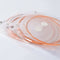 Alice A2012 12 Strings Acoustic Guitar Strings 010-026 Musical Instrument G