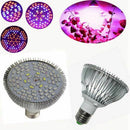 Plant Lamp Growth Light LED Bulb Pro Horticultural Flower Misting Vegetatio