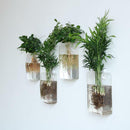 2x Wall Hanging Flower Vase Terrarium Container Plant Holder Garden Yard DIY