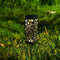 4X Solar Garden Torch Lights Dance Flames LED Waterproof Landscape Lawn L PED
