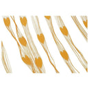 Door Window Wall Panel Curtain Room Divider String Fringe Tassel Strip Oran E2B2