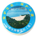 10pcs Magic Compressed Travel Towels non woven washcloths. O7H4