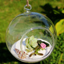 Hanging Glass Ball Vase Flower Plant Pot Stand Terrarium Containers Home  PDD