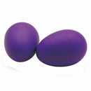 Musical Maracas Shakers Kids Funny Toys Random Educational