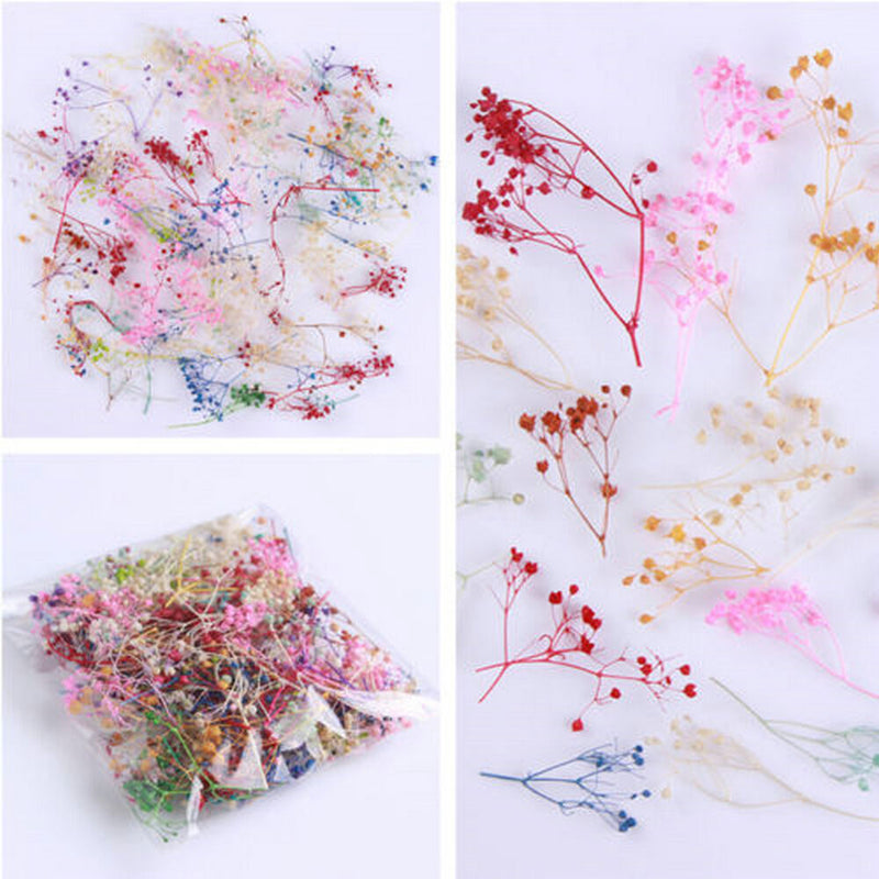 Fashion Mixed Dried Flowers Nail Art DIY Women Girl Decor Flower Manicure Crafts