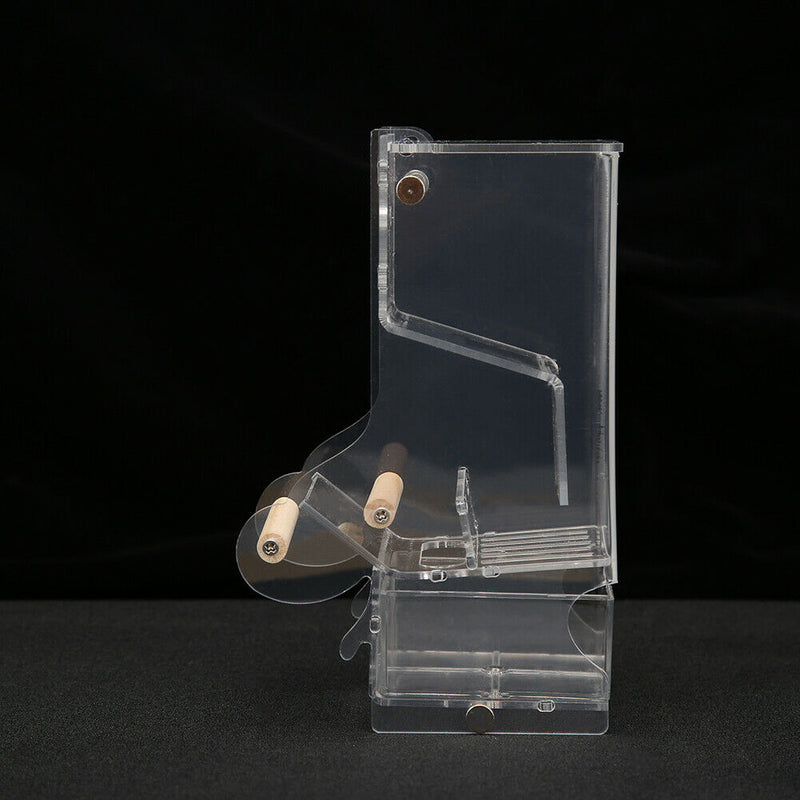 Pet Parrot Automatic Transparent Feeder Birds Splash-proof Food Dispenser