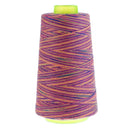 Rainbow Color Polyester Sewing Thread 40s/2 for Hand and Sewing Machine 5#