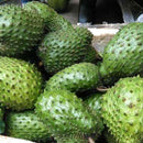 20pcs seeds soursop Durian Tropical Fruit garden Bonsai OZ