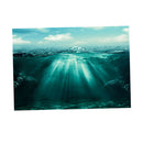 Aquarium Background Ocean Poster   Tank Wallpaper Ornament Decor 61x30cm