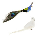 Simulation Feather Foam Peacock and Doves Birds Statue Garden Sculpture Home