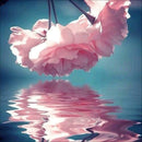 5D DIY Full Drill Diamond Painting Flower Embroidery Mosaic Craft Kit Decor