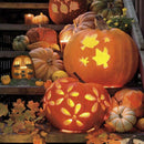 Halloween Pumpkin Carving Tools 13 Piece Professional Pumpkin Cutting Suppl
