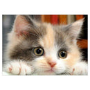 5D DIY Full Drill Diamond Painting Kitten Cross Stitch Embroidery Mosaic