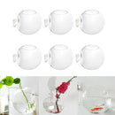 6x Water Planting Plant Pot Hydroponic Vase Micro landscape DIY Bottle Glass