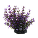 Aquarium Reptile Simulation Water Grass Landscaping Plant Purple